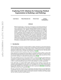 Exploring SAM Ablations for Enhancing Medical Segmentation in Radiology
  and Pathology