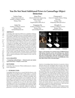 You Do Not Need Additional Priors in Camouflage Object Detection