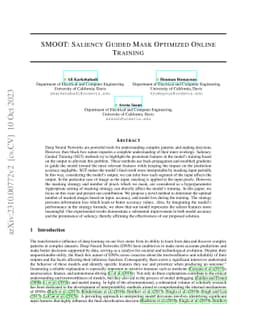 SMOOT: Saliency Guided Mask Optimized Online Training