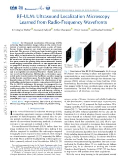 RF-ULM: Ultrasound Localization Microscopy Learned from Radio-Frequency
  Wavefronts