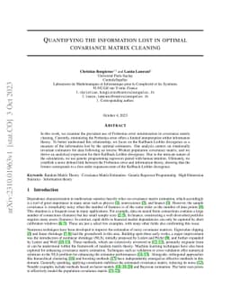 Quantifying the information lost in optimal covariance matrix cleaning