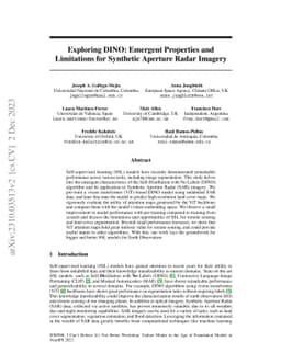 Exploring DINO: Emergent Properties and Limitations for Synthetic
  Aperture Radar Imagery