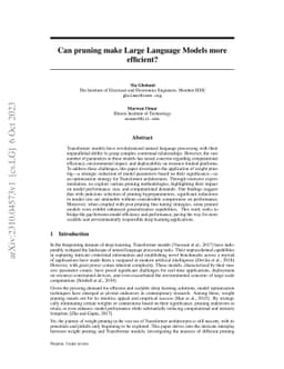 Can pruning make Large Language Models more efficient?