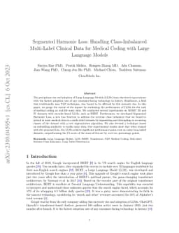 Segmented Harmonic Loss: Handling Class-Imbalanced Multi-Label Clinical
  Data for Medical Coding with Large Language Models