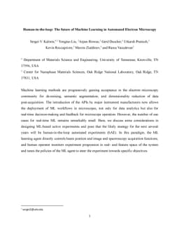 Human-in-the-loop: The future of Machine Learning in Automated Electron
  Microscopy