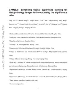 CAMEL2: Enhancing weakly supervised learning for histopathology images
  by incorporating the significance ratio