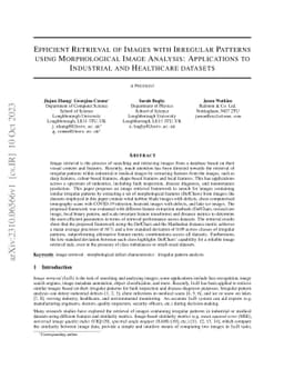 Efficient Retrieval of Images with Irregular Patterns using
  Morphological Image Analysis: Applications to Industrial and Healthcare
  datasets