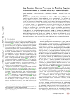 Log-Gaussian Gamma Processes for Training Bayesian Neural Networks in
  Raman and CARS Spectroscopies
