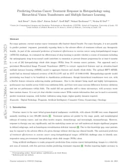 Predicting Ovarian Cancer Treatment Response in Histopathology using
  Hierarchical Vision Transformers and Multiple Instance Learning