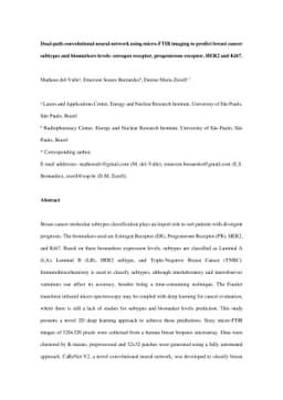 Dual-path convolutional neural network using micro-FTIR imaging to
  predict breast cancer subtypes and biomarkers levels: estrogen receptor,
  progesterone receptor, HER2 and Ki67