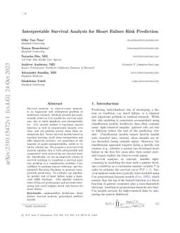 Interpretable Survival Analysis for Heart Failure Risk Prediction