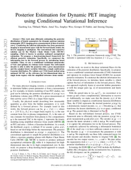 Posterior Estimation for Dynamic PET imaging using Conditional
  Variational Inference