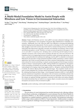 A Multi-Modal Foundation Model to Assist People with Blindness and Low
  Vision in Environmental Interaction