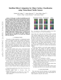 Sim2Real Bilevel Adaptation for Object Surface Classification using
  Vision-Based Tactile Sensors