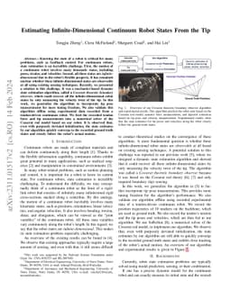 Estimating Infinite-Dimensional Continuum Robot States From the Tip