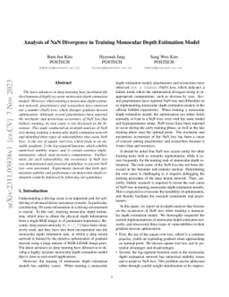 Analysis of NaN Divergence in Training Monocular Depth Estimation Model