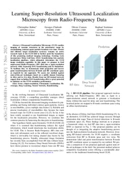 Learning Super-Resolution Ultrasound Localization Microscopy from
  Radio-Frequency Data