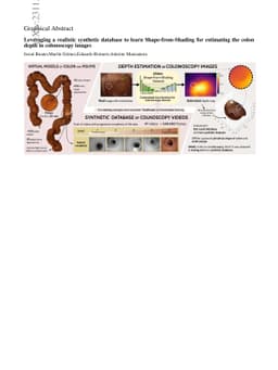 Leveraging a realistic synthetic database to learn Shape-from-Shading
  for estimating the colon depth in colonoscopy images