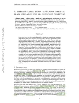 A differentiable brain simulator bridging brain simulation and
  brain-inspired computing