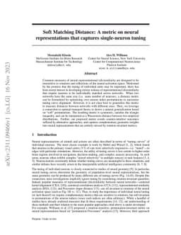 Soft Matching Distance: A metric on neural representations that captures
  single-neuron tuning