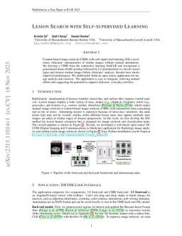 Lesion Search with Self-supervised Learning