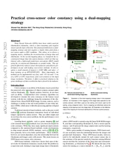 Practical cross-sensor color constancy using a dual-mapping strategy