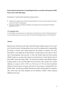 Deep learning-based detection of morphological features associated with
  hypoxia in H&E breast cancer whole slide images