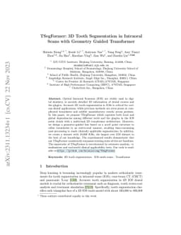 TSegFormer: 3D Tooth Segmentation in Intraoral Scans with Geometry
  Guided Transformer