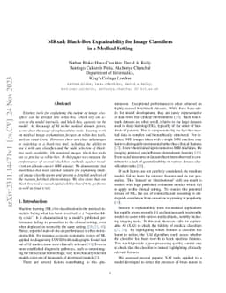 MRxaI: Black-Box Explainability for Image Classifiers in a Medical
  Setting