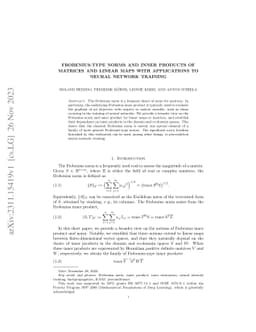 Frobenius-Type Norms and Inner Products of Matrices and Linear Maps with
  Applications to Neural Network Training
