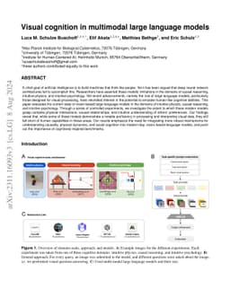Visual cognition in multimodal large language models
