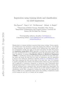Imputation using training labels and classification via label imputation