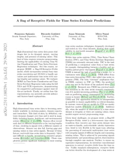 A Bag of Receptive Fields for Time Series Extrinsic Predictions