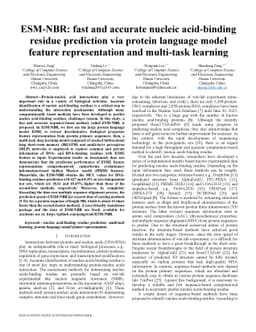 ESM-NBR: fast and accurate nucleic acid-binding residue prediction via
  protein language model feature representation and multi-task learning