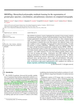 MEDPSeg: Hierarchical polymorphic multitask learning for the
  segmentation of ground-glass opacities, consolidation, and pulmonary
  structures on computed tomography