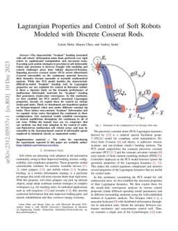 Lagrangian Properties and Control of Soft Robots Modeled with Discrete
  Cosserat Rods