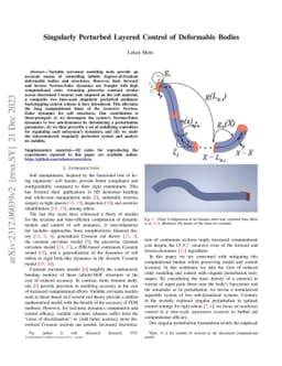 Fast Whole-Body Strain Regulation in Continuum Robots