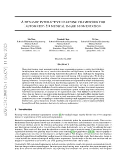 A dynamic interactive learning framework for automated 3D medical image
  segmentation