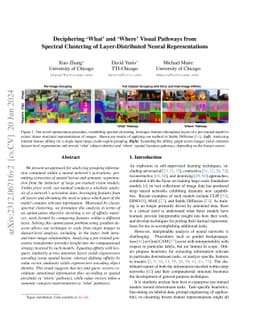 Deciphering 'What' and 'Where' Visual Pathways from Spectral Clustering
  of Layer-Distributed Neural Representations