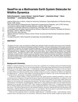 SeasFire as a Multivariate Earth System Datacube for Wildfire Dynamics