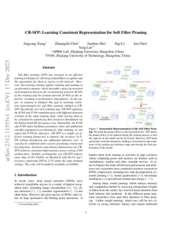 CR-SFP: Learning Consistent Representation for Soft Filter Pruning