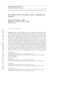 On support vector machines under a multiple-cost scenario
