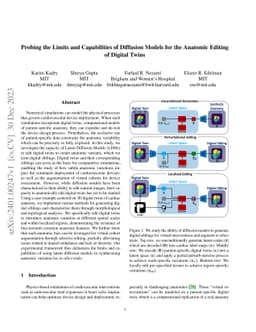 Probing the Limits and Capabilities of Diffusion Models for the Anatomic
  Editing of Digital Twins