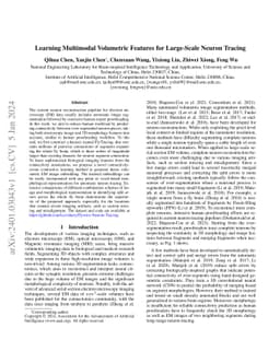 Learning Multimodal Volumetric Features for Large-Scale Neuron Tracing