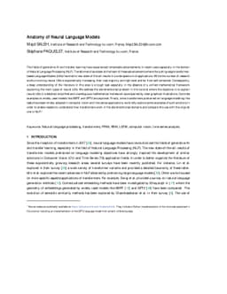 Anatomy of Neural Language Models