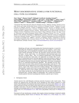 Most discriminative stimuli for functional cell type clustering