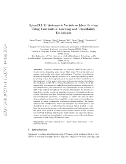 SpineCLUE: Automatic Vertebrae Identification Using Contrastive Learning
  and Uncertainty Estimation