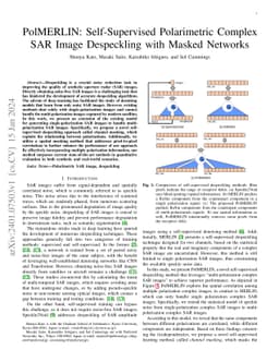 PolMERLIN: Self-Supervised Polarimetric Complex SAR Image Despeckling
  with Masked Networks