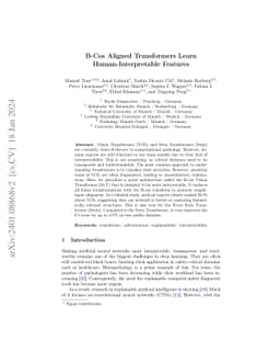 B-Cos Aligned Transformers Learn Human-Interpretable Features