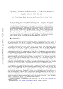 Improving Classification Performance With Human Feedback: Label a few,
  we label the rest